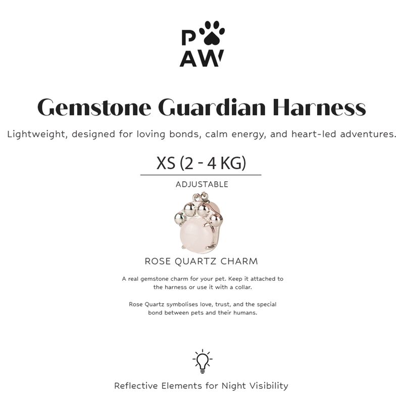 P-AW Gemstone Guardian Starter Pack