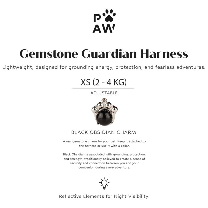 P-AW Gemstone Guardian Starter Pack