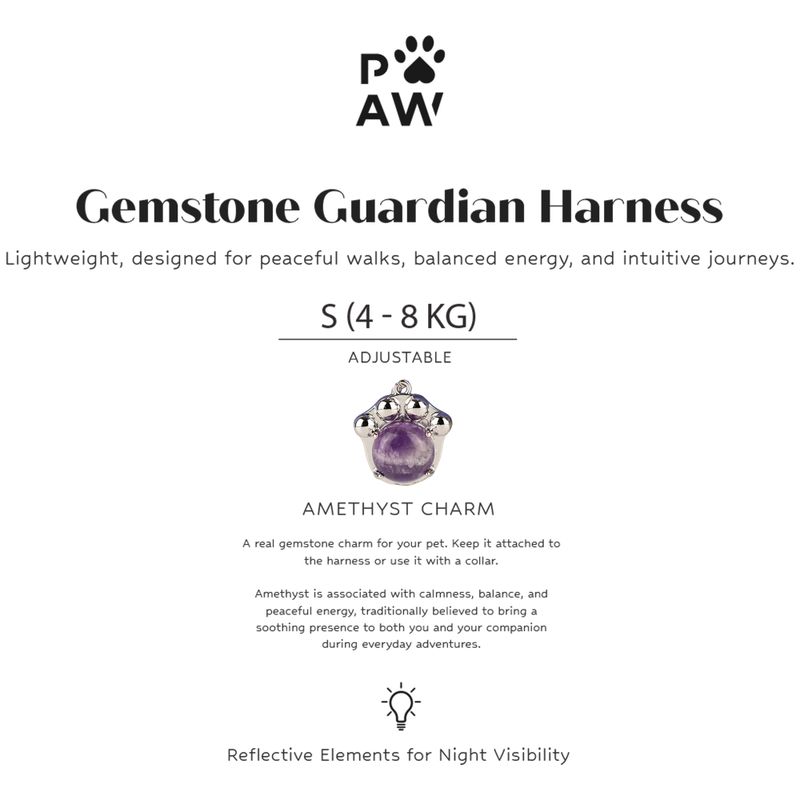 P-AW Gemstone Guardian Starter Pack