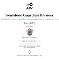 P-AW Gemstone Guardian Starter Pack