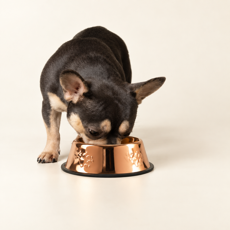 PAW Food Bowls - Single Copper Style - 18cm - Stainless Steel (304)