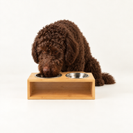 PAW Food Bowls - Lrg Double Stainless Steel (201) in Wooden Stand - 2x13cm