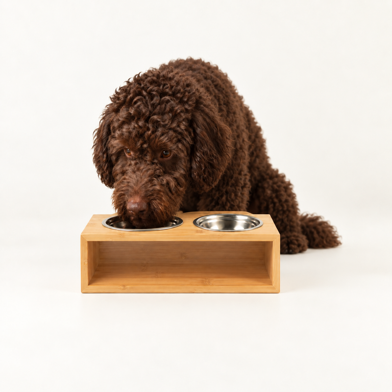 PAW Food Bowls - Lrg Double Stainless Steel (201) in Wooden Stand - 2x13cm