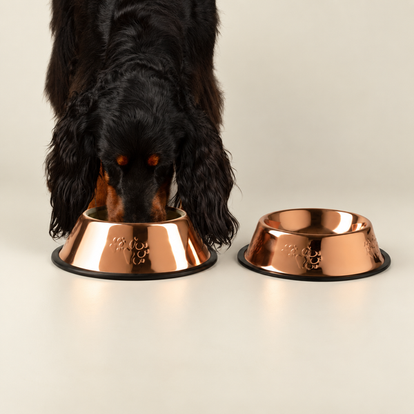 P-AW Pet Bowls & Raised Feeders