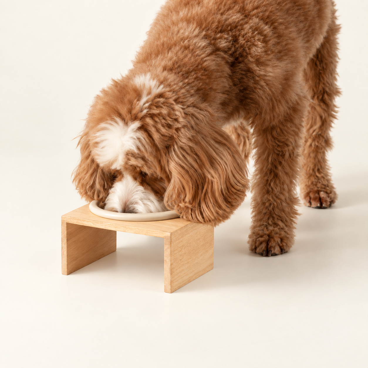 P-AW Pet Bowls & Raised Feeders