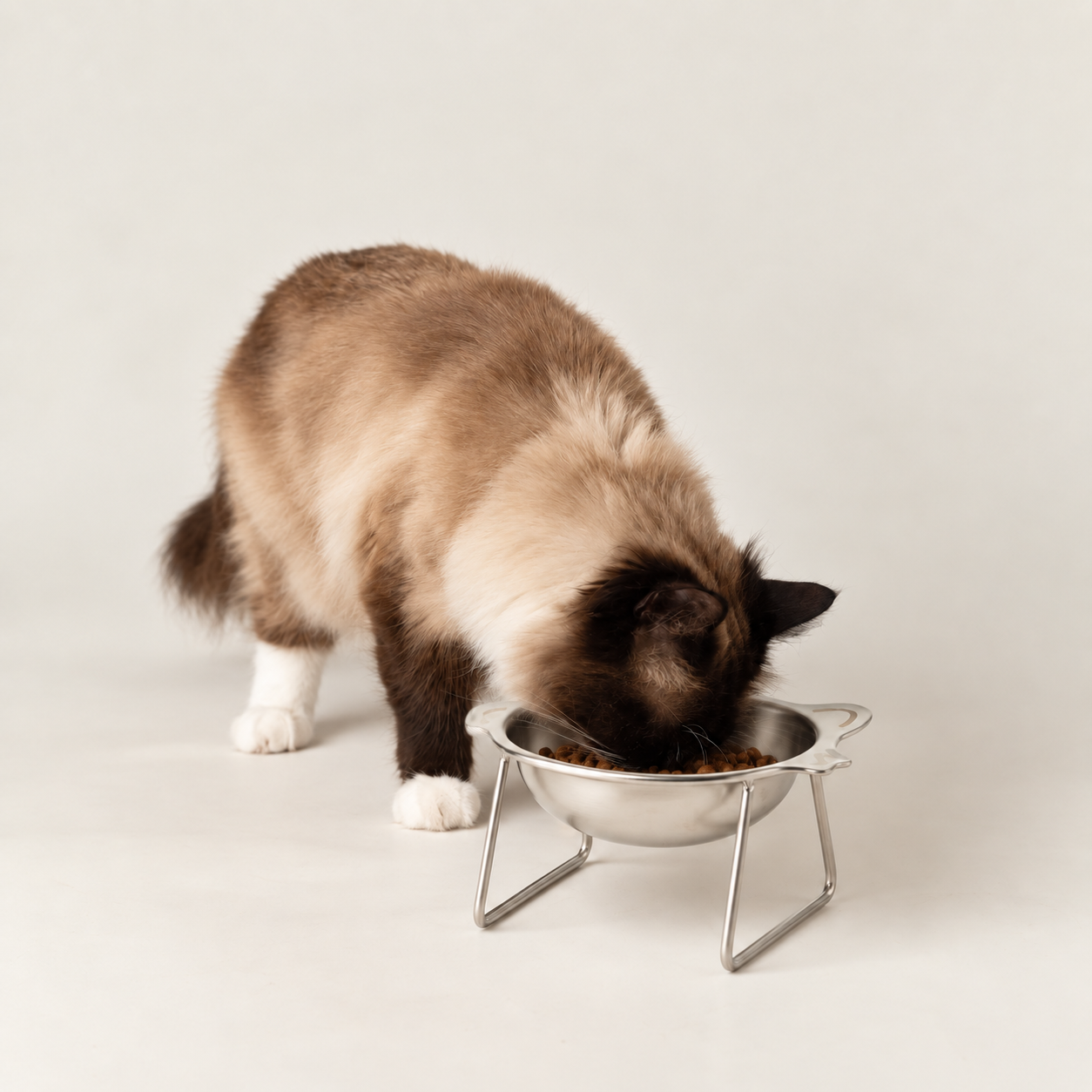 P-AW Pet Bowls & Raised Feeders