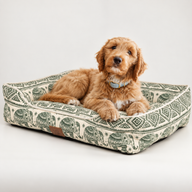 Paw Bed - Lucky Elephant - Green - 60x50x14cm
