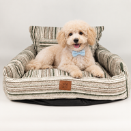 Paw Bed - Medium Sofa - Brown Stripes - 60x60x28cm