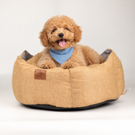 Paw Bed - Medium Royal Crown - Sand & Grey - 50x50x26cm