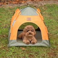 Paw Bed - Green & Orange Tent - 48x48x40cm
