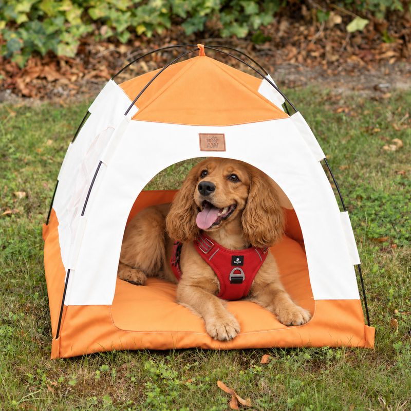 Paw Bed - Beige & Orange Tent - 58x58x48cm