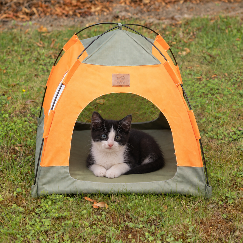 Paw Bed - Green & Orange Tent - 48x48x40cm