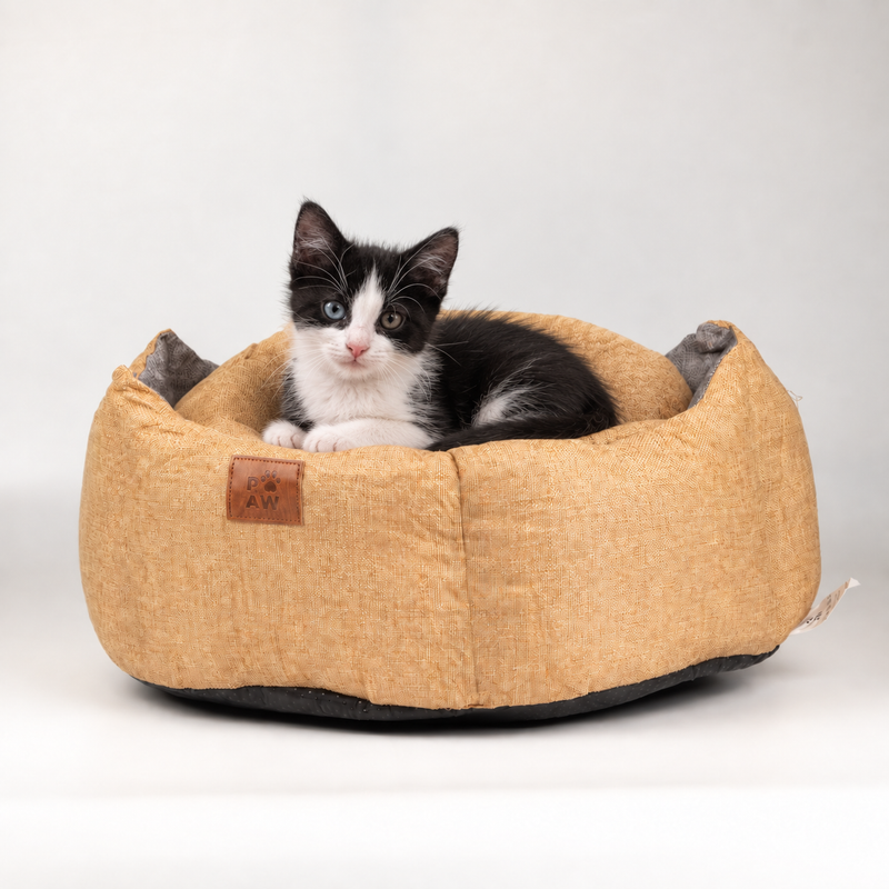 Paw Bed - Medium Royal Crown - Sand & Grey - 50x50x26cm