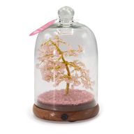 Gemstone Dome Garden - Rose Quartz & LED lights - 200 chipstones