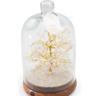 Gemstone Dome Garden - Quartz Crystal & LED lights - 200 chipstones