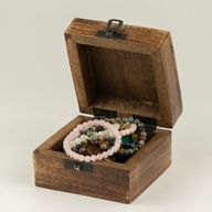 Small Enamelled Box - Leo