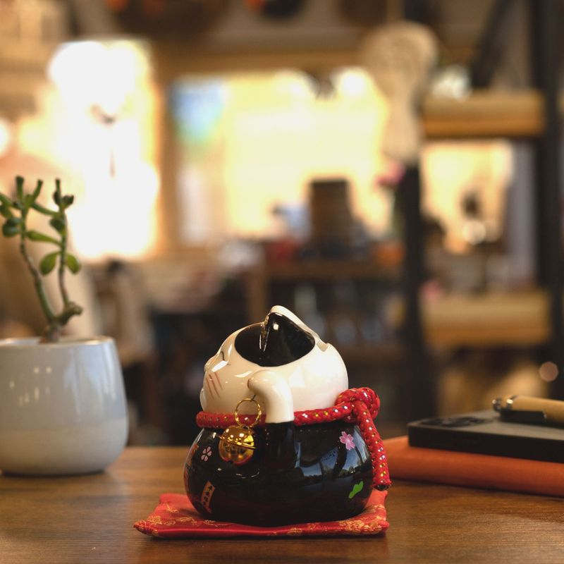 Ceramic Money Cat Bank - Black on Cushion