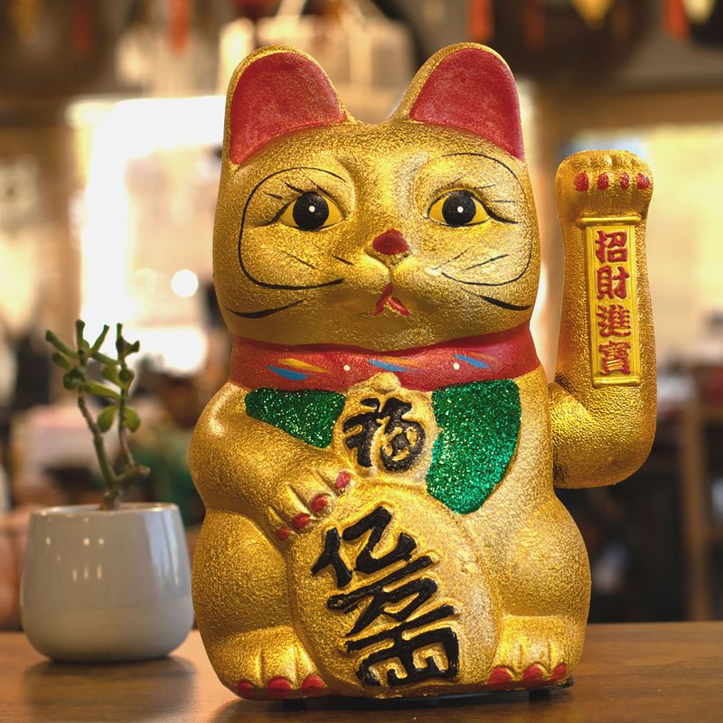 V.Large Money Cat