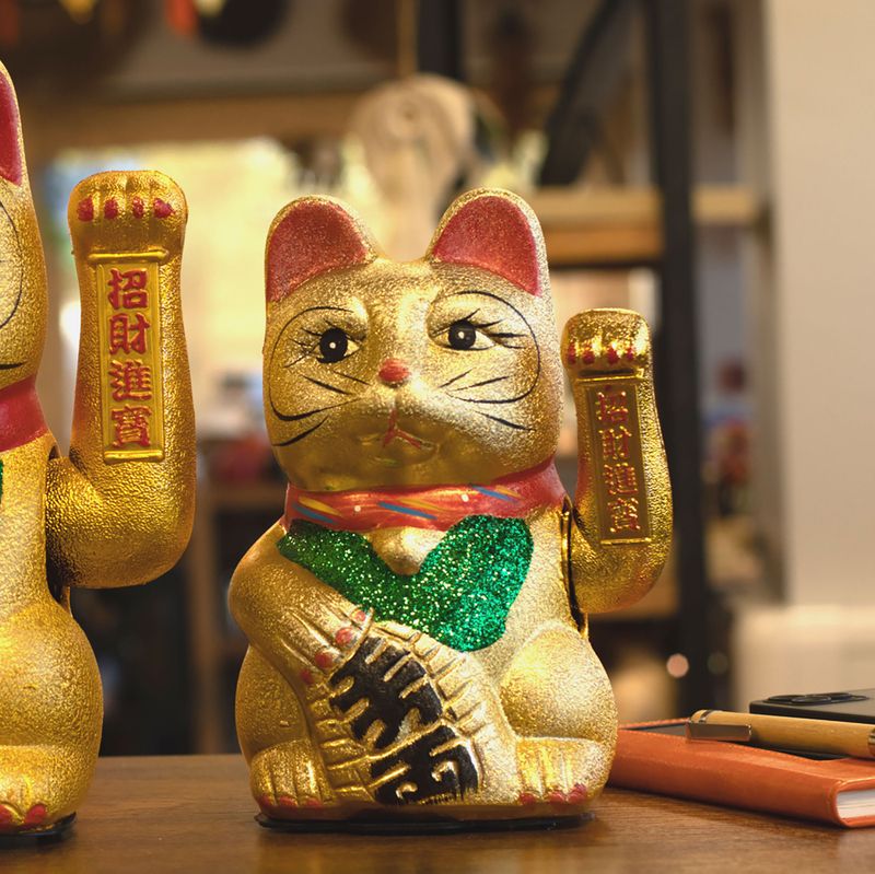 Large Money Cat