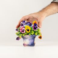 Wooden House Plants - Mini Pansy