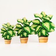 Wooden House Plants - Mini Jungle Plant