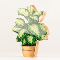 Wooden House Plants - Medium Jungle Plant