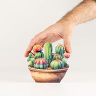 Wooden House Plants - Mini Cactus Garden