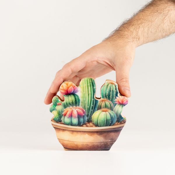 Wooden House Plants - Mini Cactus Garden
