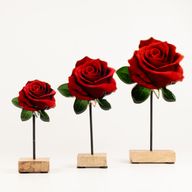 Wooden House Plants - Medium Single Rose