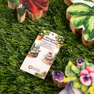 Wooden House Plants - Large Single Rose