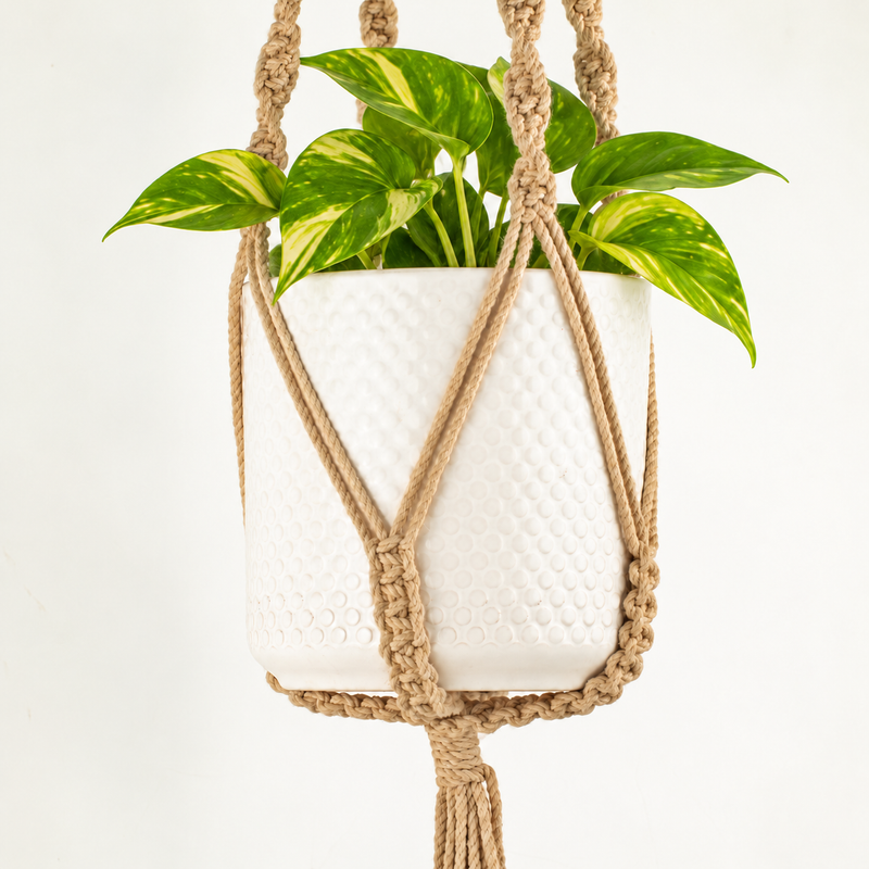 Simple Macrame Pot Holder - Camal