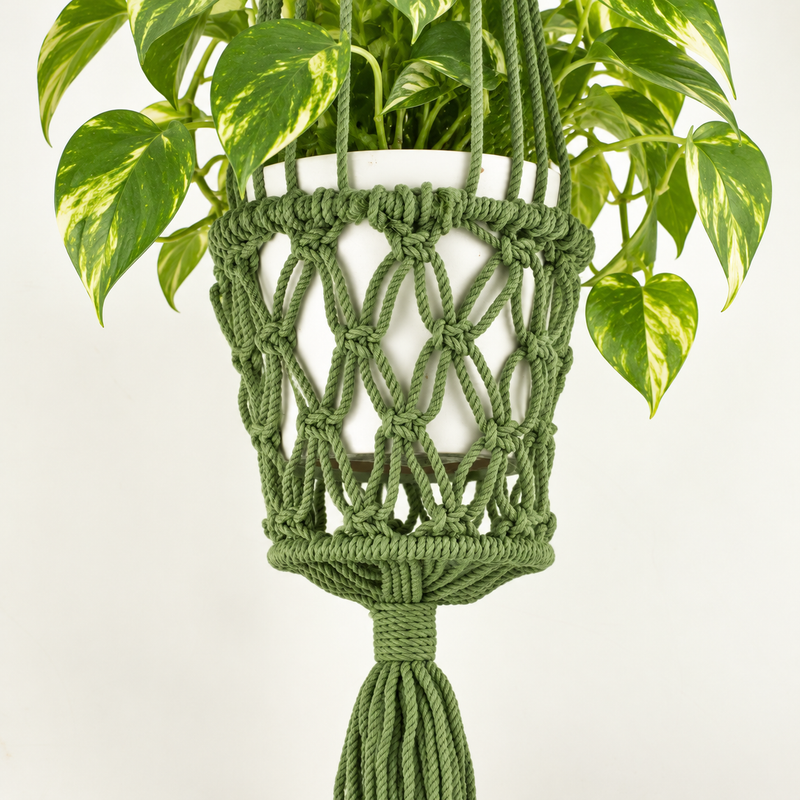 Macrame Pot Holder  - Green
