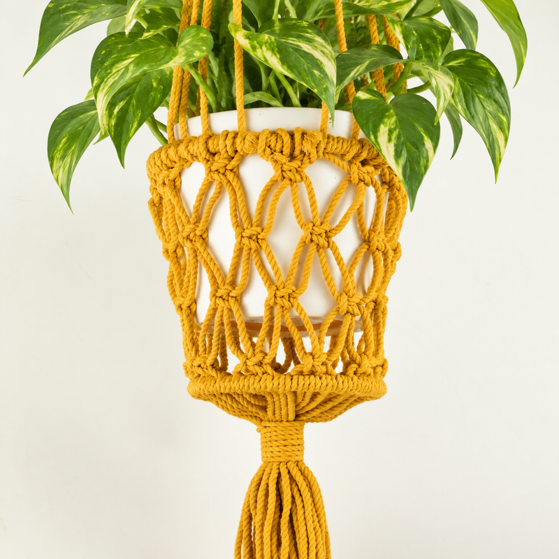 Macrame Pot Holder - Mustard
