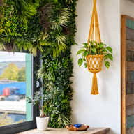 Macrame Pot Holder - Mustard