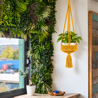 Lrg Macrame Pot Holder  - Mustard