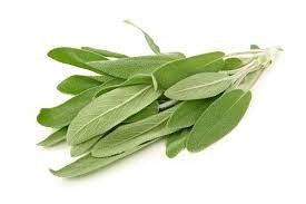 Sage & Juniper - Argan Solid Shampoo