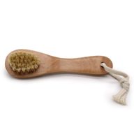 Face Brush Special Carton Pack