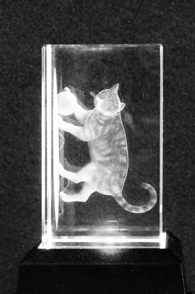 Laser Crystal - Cat