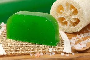 Eucalyptus - Argan Solid Shampoo