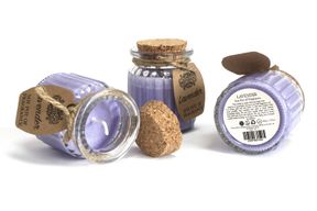 Apple & Cinnamon Soy Pot of Fragrance Candles