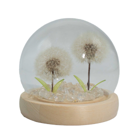 Floral Glow Garden Dome - 2 Dandelions - LED USB