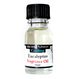10x 10ml Eucalyptus Fragrance Oil