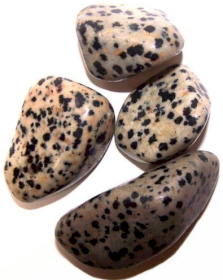24x L Tumble Stones - Dalmation Stone