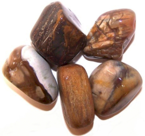 24x L Tumble Stones - Petrified Wood