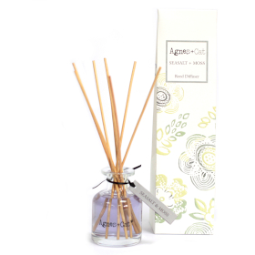 3x 140ml Reed Diffuser - Seasalt and Moss