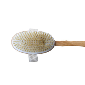 6x Long Handle Body Brush