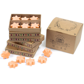 Box of 6 packs Wax Melts - Mango Fruits