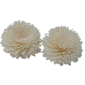12x Natural Diffuser Flowers - Lrg Carnation on String
