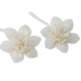 12x Natural Diffuser Flowers - Lrg Lily on String