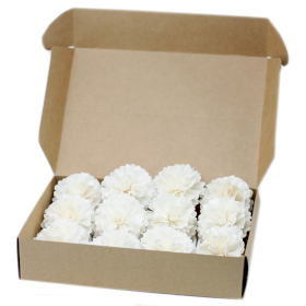 12x Natural Diffuser Flowers - Med Carnation on String